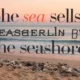 Words That Start With S and End With E