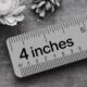 how long is 4 inches