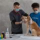 My HealtheVet