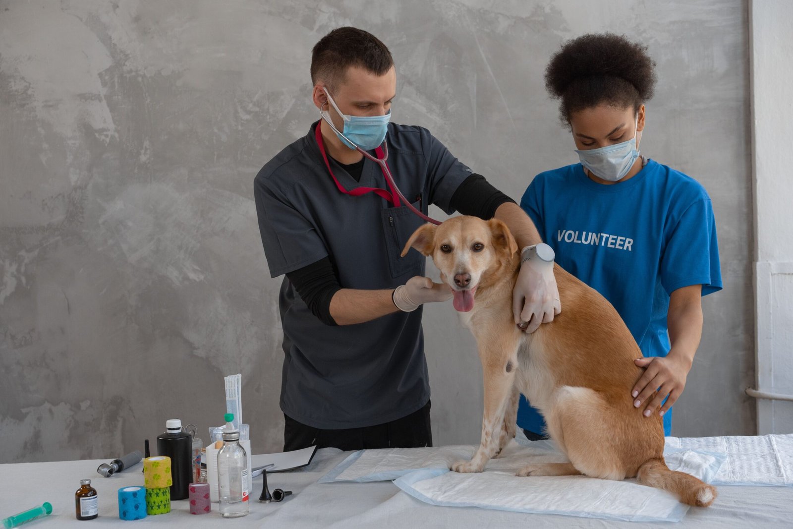 My HealtheVet